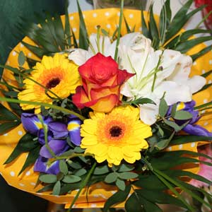Das Blümchen - Blumen und Mehr: Blumen, Topfpflanzen, Geschenkartikel, Duftkerzen, Raumdüfte, dekorierte Blumenstöcke: bunter Blumenstrauß