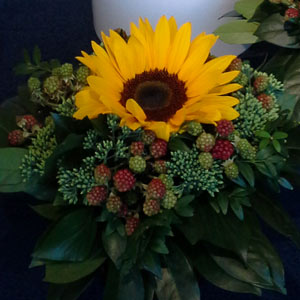 Das Blümchen - Blumen und Mehr: Blumen, Topfpflanzen, Geschenkartikel, Duftkerzen, Raumdüfte, dekorierte Blumenstöcke: Hochzeits-Dekoration Tisch- und Tafel-Schmuck mit Sonnenblume