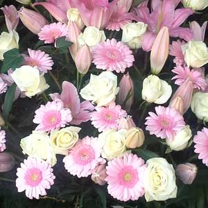 Das Blümchen - Blumen und Mehr: Blumen, Topfpflanzen, Geschenkartikel, Duftkerzen, Raumdüfte, dekorierte Blumenstöcke: Trauer-Binderei rosafarbenes Bouquet