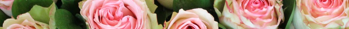 Das Blümchen: Blumen und Mehr in Salzburg