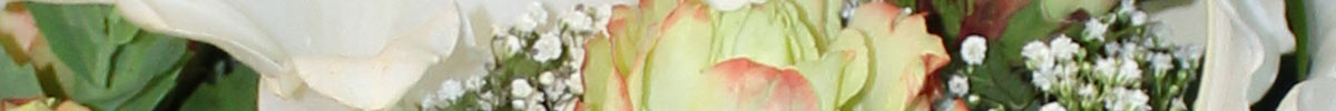 Das Blümchen: Blumen und Mehr in Salzburg