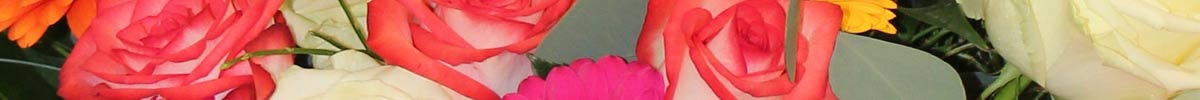 Das Blümchen: Blumen und Mehr in Salzburg