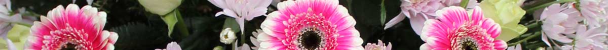 Das Blümchen: Blumen und Mehr in Salzburg