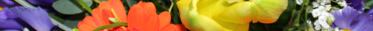 Das Blümchen: Blumen und Mehr in Salzburg