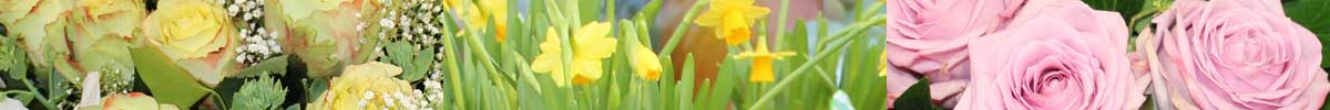 Das Blümchen: Blumen und Mehr in Salzburg