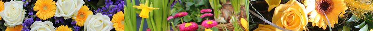 Das Blümchen: Blumen und Mehr in Salzburg